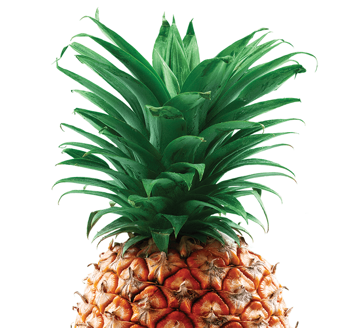 Pineapple puree